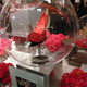 Image for article titled Ruby Slipper Party: Celebrities, Booze & Shoes, Oh My